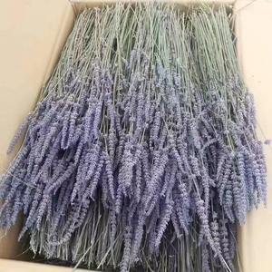 100% טבעי יבש חבילות לבנדר יבש לבנדר יבש פרחים עבור סידור פרחים קישוט הבית - Product Image 3