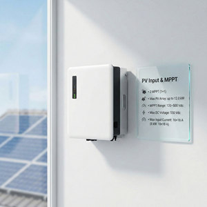 Inversor Solar Híbrido de 8.5kW, 230V Monofásico, 51.2V, 2MPPT, IP65, CAN, RS485, Inversor Solar Híbrido de 10 kW - Product Image 2