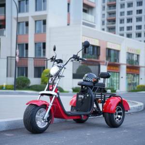 Triciclo Eléctrico sin Escobillas de 2000W, Batería de Litio, Marco de Aleación de Aluminio, Frenos de Disco Hidráulicos, Alcance de 60 Millas, Velocidad de 50 km/h - Product Image 6