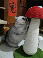 Nouvel Arrivage Jouet d'Exercice Écologique pour Animaux de Compagnie Intérieur/Extérieur, Puzzle Champignon Rouge Épée, Coque en Plastique de Chanvre, Griffoir et Équipement d'Escalade pour Chat