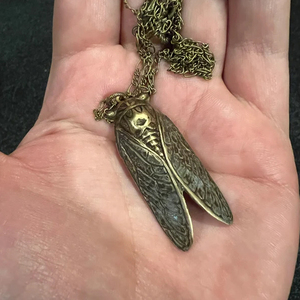 Collar con Colgante de Cigarra Grande con Medallón Secreto Oculto, Joyería Entomológica de Insectos - Product Image 5