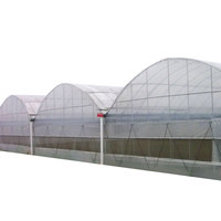 Film plastique de serre en polycarbonate pour culture hydroponique Tunnel agricole résistant aux UV de 200 microns pour culture hydroponique