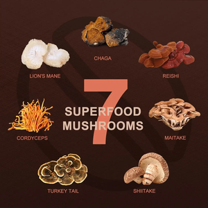 OEM/ODM etiquetas privadas de polvo de café orgánico de setas para adultos soporte de salud mejorar la memoria y dormir 250g botella - Product Image 5