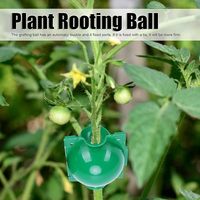 Boîte de bouturage agricole moulée pour greffage, outils de propagation haute pression, pods de bouturage aérien transparents