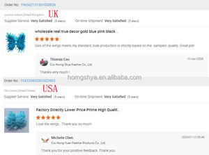 جناح ملاك خيالي من الريش للكبار ، زي حفلة عيد الميلاد تأثيري ، عرض مسرحي للكرنفال ، ديكور احتفالي لهالوين - Product Image 6