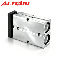 Cylindre pneumatique à double tige série TN ALITAIR avec ou sans aimant – Fournisseurs de vérins pneumatiques à piston série TN