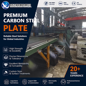 S235 S355 SS490 Annealed 2mm 1000mm Normalized EN 10025 SS490 Carbon Steel Plate for Engineering Projects - Product Image 1
