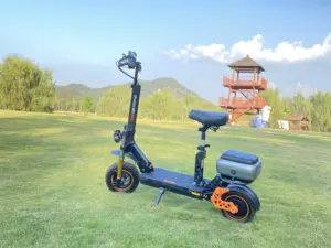 2024 Europe And The United States Special With Bluetooth E-scooter Iot App Controller With Sharing System Electric Scooters