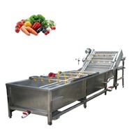 Ligne automatique de traitement des aliments pour machine à laver les prunes abricots et raisins secs Pasteurisateur Stérilisateur Sèche-linge/Production de nettoyeurs