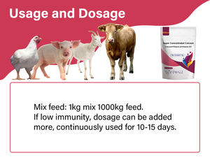 Additivo Alimentare OEM per Vitelli e Agnelli, Polvere di Calcio Super Concentrata, Integratore per Ossa e Articolazioni per Bestiame, per Animali Forti e in Piedi - Product Image 3