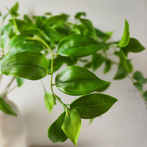 Plantas Artificiales de Látex Realistas con Diseño Nuevo, Relleno de Flores para Arreglos de Boda y Decoración de Interiores - Product Image 4