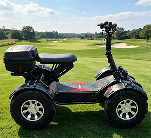 21 <strong>Inch</strong> off Road 10000W 4WD <strong>Electric</strong> <strong>Quad</strong> ATV with Shaft Drive - Product Image 4