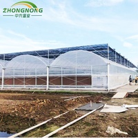 Système d'irrigation de tunnel agricole / Système de culture hydroponique hors sol pour fraises/tomates, kit de serre multi-spans en film