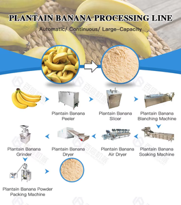 Weegbree Bananen Proces Productielijn <span class=keywords><strong>Chips</strong></span> Drogen Malen Groene Bananenschil Weegbree Poeder Meel Maken Productielijn - Product Image 5