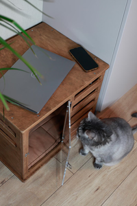 इनडोर बिल्लियों के लिए बिस्तर बिल्ली विला के साथ उच्च गुणवत्ता वाले ठोस लकड़ी बिल्ली घर में वेंटिलेशन ग्लास दरवाजे हैं। - Product Image 5