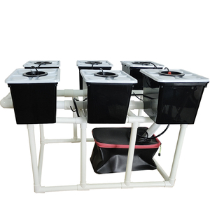 Sistema de cubo holandés o Bato con 6 cubos de maceta Soportes Bomba de tanque de <span class=keywords><strong>riego</strong></span> por goteo <span class=keywords><strong>Material</strong></span> PP para tomates Fresas - Product Image 5