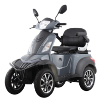 VISTA QUATER-1 EEC COC 1000W BATTERIE AU PLOMB POUR SCOOTER ÉLECTRIQUE 4 ROUES