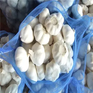 Aglio fresco cinese di vendite calde/prezzo all'ingrosso del fornitore di aglio sbucciato fresco bianco puro