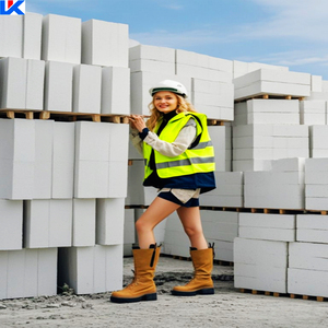 AAC/ACC/ALC Bloc mural en béton cellulaire léger résistant aux hautes températures Blocs de construction en béton solide de conception industrielle - Product Image 4