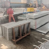 Dalles de pierre de granit naturel blanc sésame, finition martelée texturée, durables, modernes, taille personnalisée, pour pavage de place publique