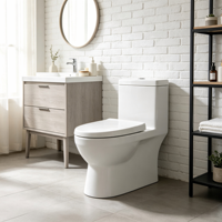 Vente en gros de WC monobloc de luxe en céramique, sans bride, à chasse d'eau Tornado, avec jupe, à siphon, moderne