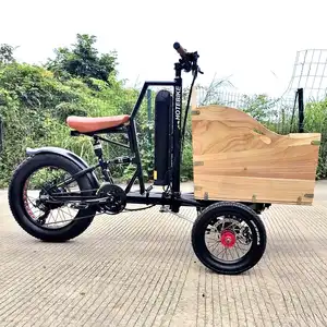 48V 500W 750W迷你Ebike成人电动三轮车家庭货运儿童电动自行车20英寸自行车