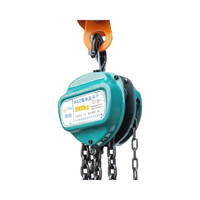 Palan à chaîne personnalisable en usine de gourde en acier tiré à la main bleu avec hauteur de levage personnalisée ODM/OEM