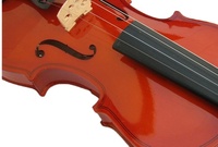 Violon en épicéa massif et érable avec cordes en fibre de carbone, finition brillante - Vente en gros