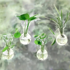 Vaso Trasparente <span class=keywords><strong>da</strong></span> Parete per Piante Idroponiche Pothos, Decorazione per Giardinaggio Domestico, Stile Pastorale - Product Image 1