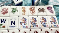 7 Gün İçinde Kargoya Verilir Yazlık Okyanus Mahjong Seti Plaj Temalı Taşlar Deniz Yosunu Sanatı 160 Parçalı Akrilik Mahjong