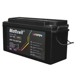 Batterie de stockage d'énergie LiFePO4 38.4V 50Ah 100Ah phosphate Lithium fer avec batterie de chariot LiFePO4