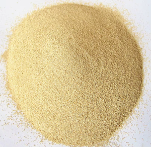 <span class=keywords><strong>Levain</strong></span> en poudre instantané HALAL à haute activité 500g sous vide, forte puissance de fermentation pour pains et pâtisseries A-ONE - Product Image 3