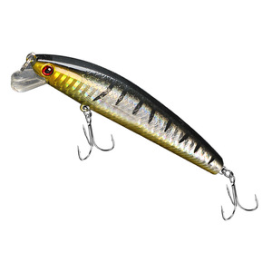 <span class=keywords><strong>Leurre</strong></span> flottant Minnow 9g Surprise Lures pour la pêche au marlin en lac et en rivière, eau salée, appât artificiel dur en acier inoxydable avec hameçons - Product Image 2