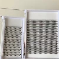 Plateau XXL 0.05 0.07 0.10mm 20 Lignes Volume Russe 2D 3D 6D 8D 10D Éventails de Cils Préfabriqués Noir Mat PBT Vente en Gros