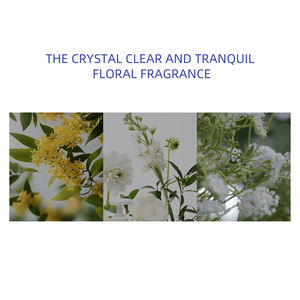 Feiqu Natuurlijke Organische Haarverzorging Lotion Aromatische Etherische Olie Voor Anti-Haaruitval En Groei Voedend Voor Beschadigd Haar - Product Image 6