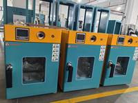Oven Pengering Udara Paksa Vertikal Seri LGG 30L-1300L Oven Pengering Ledakan Listrik Laboratorium Industri dengan CE ISO