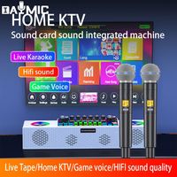Équipement Pro studio maison famille KTV studio moniteur karaoké haut-parleur carte son avec Double Microphone sans fil ktv live