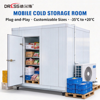Chambre froide mobile prête à l'emploi, conteneur réfrigéré, taille personnalisable, de -35°C à +20°C, avec compresseur Copeland de 3 CV
