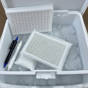 Personalizável transparente branco destacável plástico estéril tecido cultura <span class=keywords><strong>Elisa</strong></span> placa OEM suportado - Product Image 6