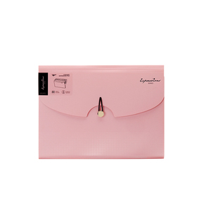 Carpeta de archivos expansible de bolsillo tamaño <span class=keywords><strong>A4</strong></span> personalizable, material PP, organizador de papelería de oficina, productos de archivo de acordeón en expansión - Product Image 1