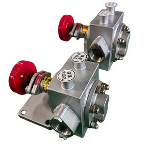 Pompe à engrenages isolée en acier inoxydable pour liquide visqueux Qualité alimentaire Miel <span class=keywords><strong>Sirop</strong></span> Chocolat Traitement des eaux usées Plateau tournant sanitaire - Product Image 1