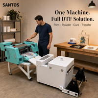 Imprimante DTF 30 cm avec secoueur de poudre ST-302, double tête I1600, 2400 dpi, certifiée CE pour les ateliers de confection