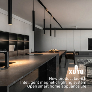 Plafonnier magnétique moderne 48V LED Plafonds tendus Nouveau système d'éclairage intérieur sur rail linéaire Profils en aluminium Aimant intérieur - Product Image 6