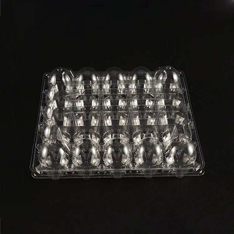 Factory Direct Sales 25 Grid Transparent Plastic Duck Eggs Packaging Tray Kitchen Container Chicken Egg Tray with Cover