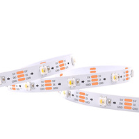 Bande LED à pixels RGBW SK6812 haute efficacité, étanche IP65, avec application, certifiée CE, pour éclairage de mariage et de salle de danse
