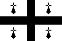 Drapeau de la Bretagne personnalisé en gros, style fanion, taille sur mesure pour le Festival Interceltique de Lorient