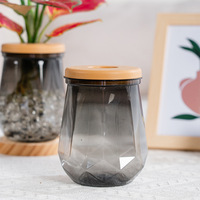 Pot de fleurs hydroponique d'intérieur transparent Meixuan, durable, moderne, en plastique créatif, petit pot à eau, culture verte, 200 ml