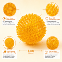Balle à mâcher interactive pour chien TPR Spiky, style classique et moderne, jouet de nettoyage dentaire, 2 tailles disponibles