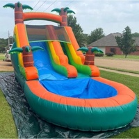 Glissières d'eau commerciales gonflables de 20ft d'extérieur de palmier de PVC grand parc gonflable de glissière d'eau enfants adultes gonflables avec la piscine