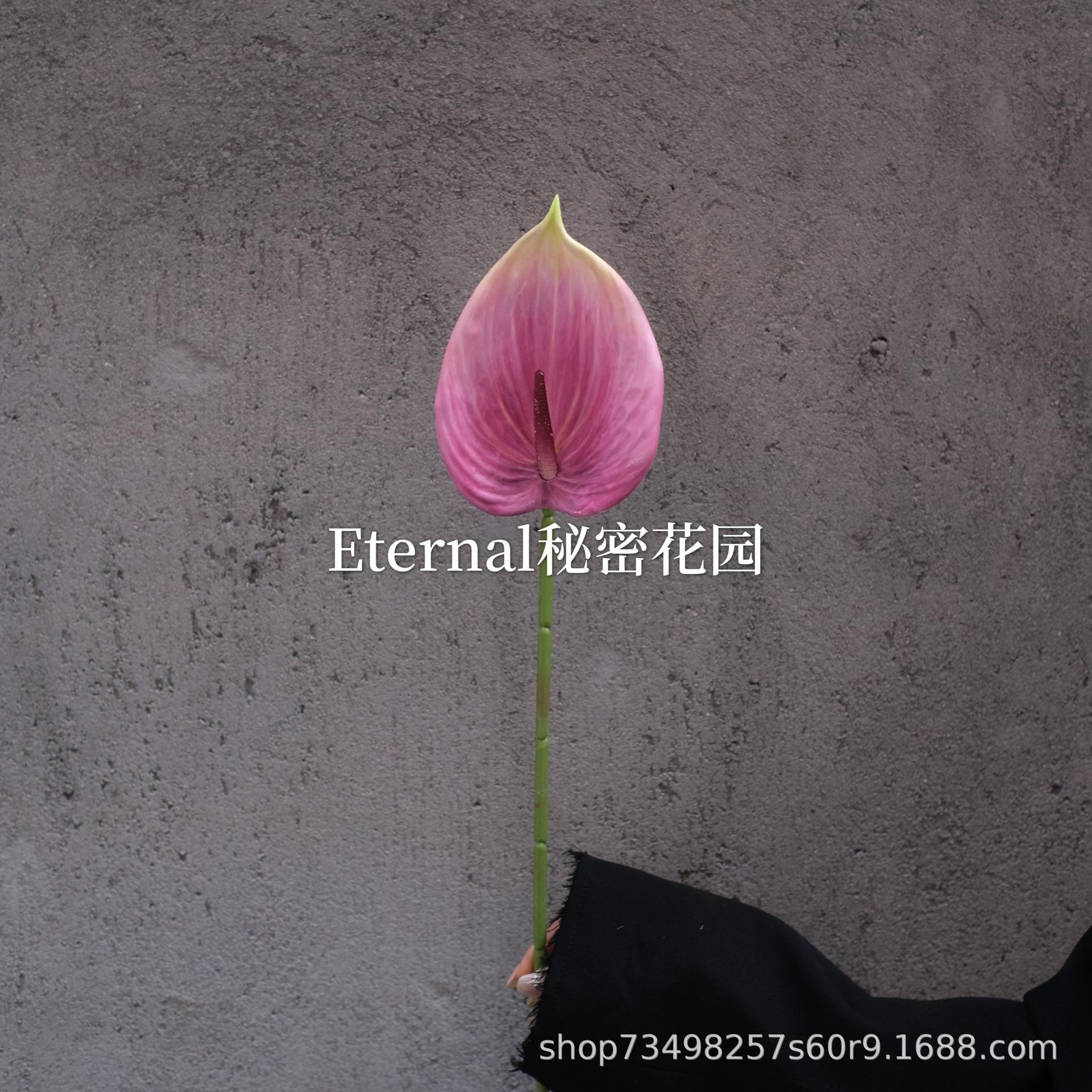 ต้นปาล์มเจ้าแม่กวนอิม